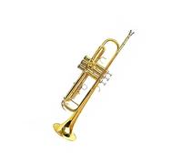 Tromba professionale Strumento a tromba per prestazioni professionali strumento in ottone tromba a tre toni in ottone Si bemolle