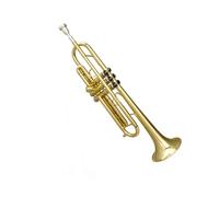 Tromba professionale Strumento a tromba per principianti livello di prestazione per adulti Si piatto laccato oro