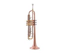 Tromba professionale Strumento a tromba per principianti Si bemolle in bronzo fosforoso con bocca a campana tubo in rame bianco