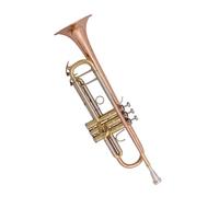 Tromba professionale Strumento a tromba si bemolle a tre toni per tromba materiale in bronzo fosforoso per l'esame di livello principiante