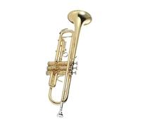 Tromba professionale Strumento a tromba si bemolle accessori professionali per strumenti in ottone per bambini tromba in ottone placcato oro