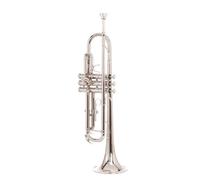 Tromba professionale Strumento a tromba SI bemolle alpacca tromba per principianti prestazioni professionali alpacca