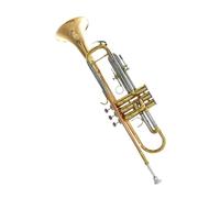 Tromba professionale Strumento a tromba si bemolle corno placcato argento lacca oro tromba per principianti