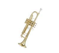 Tromba professionale Strumento a tromba si bemolle Esame per principianti orchestra professionale