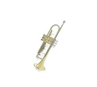 Tromba professionale Strumento a tromba si bemolle J studenti della scuola elementare principianti banda di tamburi performance professionale