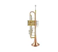 Tromba professionale Strumento a tromba SI bemolle test di prestazione per principianti avvolgimento in bronzo fosforoso livello avanzato da autodidatta