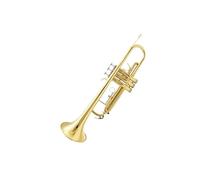 Tromba professionale Strumento a tromba si bemolle Young Pioneers studente di banda di fiati drum and bugle corps