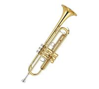 Tromba professionale Strumento a tromba standard in si bemolle per esame di livello base di musica per fiati per adulti e prestazioni professionali