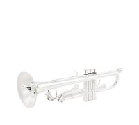 Tromba professionale Strumento a tromba TLSM-8335GS test di livello principiante in bronzo fosforoso placcato oro argentato(Color:Silver)