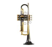 Tromba professionale Strumento a tromba TLSM-8335GS test di livello principiante in bronzo fosforoso placcato oro argentato(Color:Bronze)