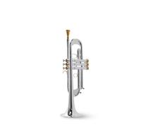 Tromba professionale Strumento a tromba TLSM-8335GS test di livello principiante in bronzo fosforoso placcato oro argentato(Color:Multi-colored)