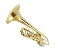 Tromba professionale Strumento a tromba tromba professionale per principianti B flat test del corno integrato