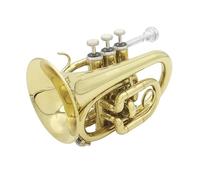 Tromba professionale Strumento in ottone per tromba tascabile professionale livellante in Si Sib con custodia rigida in tessuto per guanti per boccaglio