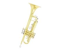 Tromba professionale Strumento in ottone tromba in ottone Si bemolle banda per principianti tromba professionale che suona tromba(Color:Gold)