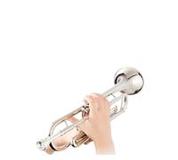 Tromba professionale Strumento musicale di base per principianti tromba strumento a fiato in si bemolle Tromba in si bemolle placcata in argento