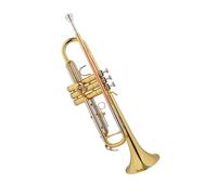 Tromba professionale Strumento musicale in oro laccato bronzo fosforoso in si bemolle livello di prestazione professionale per gruppi principianti
