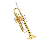 Tromba professionale Strumento musicale in ottone laccato oro in si bemolle banda per principianti livello di prestazione professionale