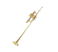 Tromba professionale Strumento musicale Strumento da cerimonia B bemolle Tromba estesa Banda militare