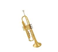 Tromba professionale Strumento musicale tricolore in si bemolle per studenti delle scuole elementari principianti e adulti trombe