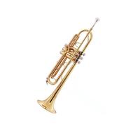 Tromba professionale Strumento per studenti universitari in ottone per tromba in Si bemolle per principianti per esame di grado principiante(Color:Silver)
