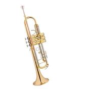 Tromba professionale Strumento per tromba B bocchino piatto in bronzo fosforoso tubo cambiante in rame bianco banda professionale per strumenti a fiato