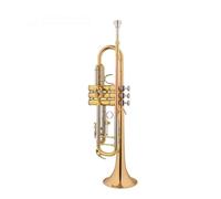 Tromba professionale Strumento per tromba B bocchino piatto in bronzo fosforoso tubo in rame bianco per tromba