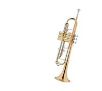 Tromba professionale Strumento per tromba B tromba piatta bocchino in bronzo fosforoso tubo in rame bianco per principianti