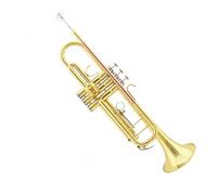 Tromba professionale Strumento per tromba in si bemolle ottone fosforoso bronzo fosforoso per l'esame di qualità