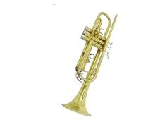 Tromba professionale Strumento per tromba per principianti corno in si bemolle strumento professionale