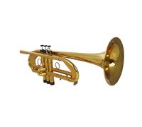 Tromba professionale Strumento piatto in ottone tromba dorata strumento a fiato in ottone mini tromba tascabile argento a bocca piatta (Color : Silver)