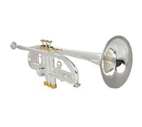 Tromba professionale Strumento piatto in ottone tromba dorata strumento a fiato in ottone mini tromba tascabile argento a bocca piatta (Color : Brass)