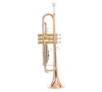 Tromba professionale Strumento professionale a tromba a tre toni in bronzo fosforoso si bemolle bronzo fosforoso livello prestazionale per principianti