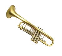 Tromba professionale Strumento professionale per tromba in Sib placcato in ottone con custodia e bocchino
