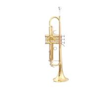 Tromba professionale Strumento tromba con bocchino in bronzo fosforoso in si bemolle per principianti da utilizzare per le prestazioni degli esami di grado