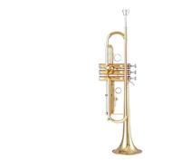 Tromba professionale Strumento tromba con bocchino in bronzo fosforoso in si bemolle per principianti per eseguire orchestre professionali