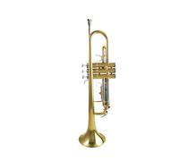 Tromba professionale Strumento tromba in ottone interamente in ottone in si bemolle per principianti per sostenere l'esame modello originale con accessori completi