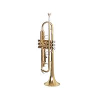 Tromba professionale Strumento tromba in ottone per principianti con accessori originali e accessori completi