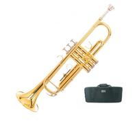 Tromba professionale Strumento tromba in si bemolle per principianti e professionisti in versione oro