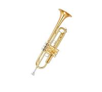 Tromba professionale Strumento tromba in si bemolle standard entry-level per principianti che vogliono suonare strumenti a fiato professionali