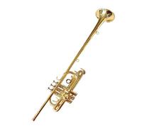 Tromba professionale Strumento tromba western in si bemolle in ottone con superficie completamente in fosforo per studenti principianti e gruppi di adulti