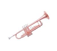Tromba professionale Strumento tromba western in si bemolle in ottone con superficie completamente in fosforo per studenti principianti e gruppi di adulti
