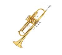 Tromba professionale Studente Principiante Strumento musicale Si bemolle Bambini Adulti Scuola Gruppo generale Esame di prestazione professionale(Color:Gold)