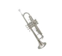 Tromba professionale Studente Principiante Strumento musicale Si bemolle Bambini Adulti Scuola Gruppo generale Esame di prestazione professionale(Color:Silver)