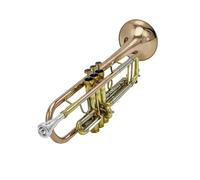 Tromba professionale Studenti in ottone con strumento piatto tromba facile da suonare