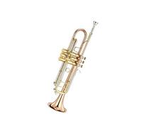 Tromba professionale Test di prestazione per principianti di tromba a tre note banda professionale bronzo fosforoso si bemolle