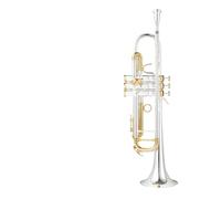 Tromba professionale Test di prestazione professionale per principianti in si bemolle chiavi in oro argentato
