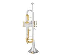 Tromba professionale Tromba Anniversario Tromba Argento Strumento Piatto Ottone Studente