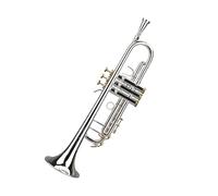 Tromba professionale Tromba argentata in si bemolle tromba per principianti strumento in ottone TR501 professionale
