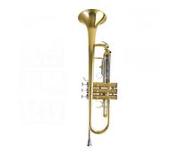 Tromba professionale Tromba avanzata in si bemolle uno strumento entry-level per principianti