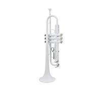 Tromba professionale Tromba bianca in Sib piatto in ottone per tromba musicale con guanti per boccaglio accessori per scatola di stoffa per la pulizia